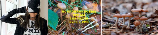 МДПВ Алексеевка