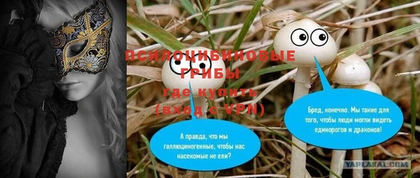 дурь Алзамай