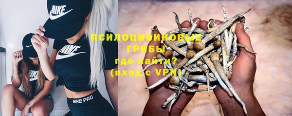 МДПВ Алексеевка