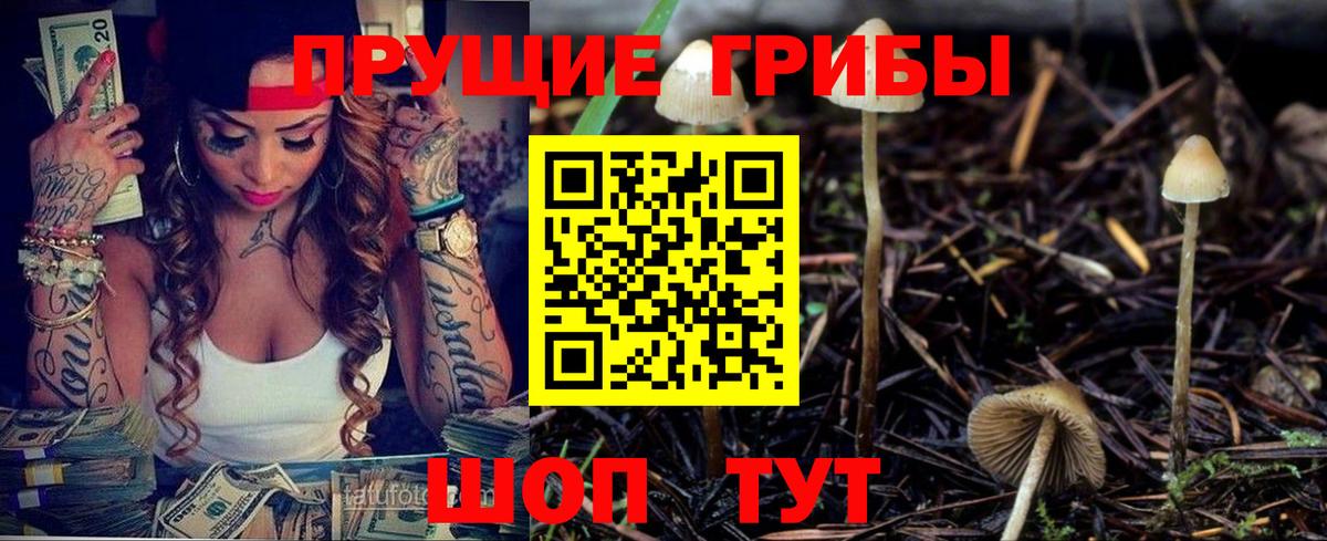 Псилоцибиновые грибы GOLDEN TEACHER Дедовск