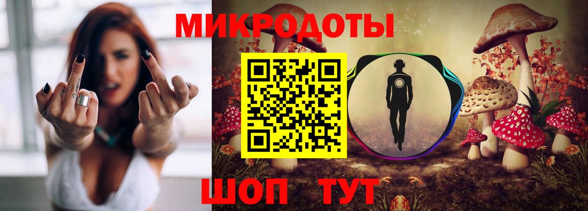 Дедовск  Псилоцибиновые грибы Psilocybe  Вход с VPN 